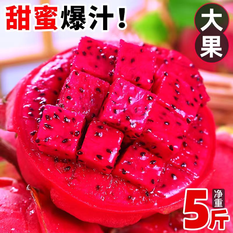 新鲜树熟红心火龙果当季水果自然成熟现摘大果整箱果园直发一号